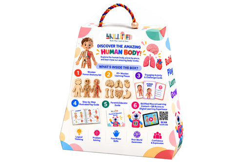 Human Anatomy